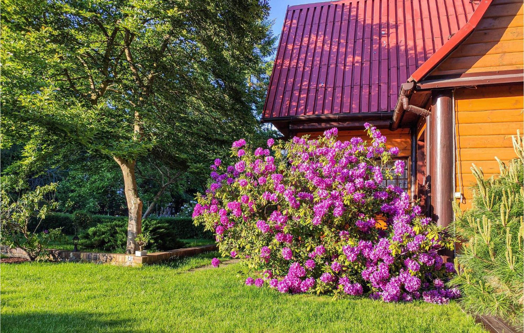 3 Bedroom Lovely Home In Nowe Warpno Kültér fotó